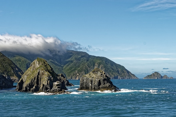 NZ Seascape
